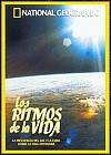 Los Ritmos de la Vida