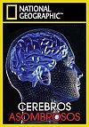 Cerebros asombrosos (3/3)