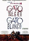 Gato negro, gato blanco
