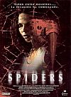 Spiders