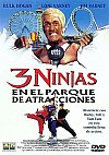 3 Ninjas en el parque de atracciones