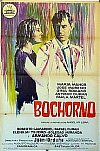Bochorno