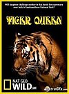 La Reina Tigre
