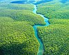 El código de la amazonia