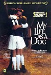 Mi vida como un perro