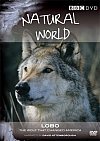 Lobo. El lobo que cambió América