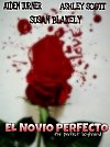 El novio perfecto (TV)