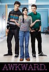 Awkward (La Chica Invisible) (4ª Temporada)