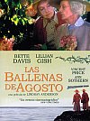 Las ballenas de agosto