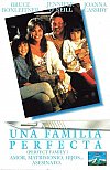 Una familia perfecta