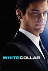Ladrón de guante blanco (6ª Temporada)