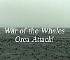 La guerra de las ballenas. Las orcas atacan