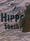 La playa de los hipopótamos