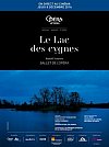 El lago de los cisnes