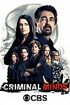 Mentes criminales (12ª Temporada)