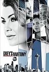 Anatomia de Grey (14ª Temporada)