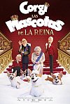 Corgi, las mascotas de la reina