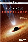 Black Hole Apocalypse