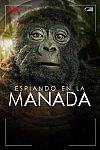 Espiando en la manada (2ª Temporada)