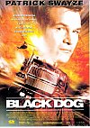 Black Dog