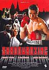Shadow Boxing