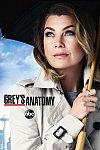 Anatomía de Grey (19ª Temporada)