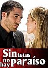 Sin tetas no hay paraíso (1ª Temporada)