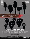 Depeche Mode: Spirits in the Forest