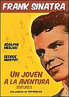 Un joven a la aventura