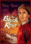 La rosa negra