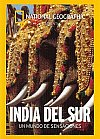India del Sur