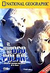 El reino del oso polar