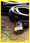 En los dominios de la anaconda