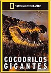 Cocodrilos Gigantes