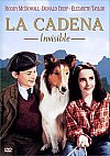 Lassie, la cadena invisible