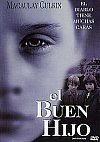 El buen hijo