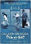 Callejón sin salida