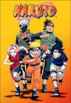 Naruto (8ª Temporada)
