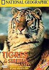 Tigres de Siberia