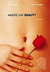 American Beauty