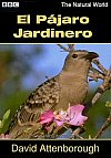 El pájaro jardinero