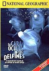 La cara oculta de los Delfines