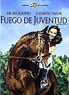 Fuego de juventud