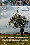 El cielo, la tierra, y la lluvia