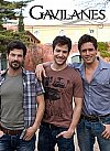 Gavilanes (1ª Temporada)
