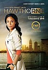 La enfermera jefe (1ª Temporada)
